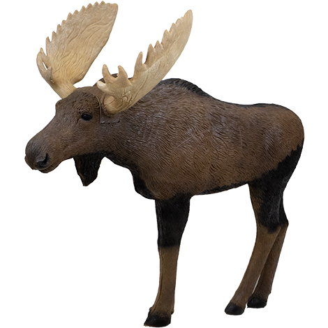 1/3 SCALE WOODLAND MOOSE